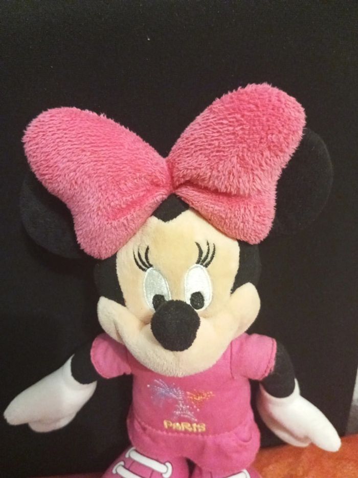 Minnie Paris, Disneyland Paris - photo numéro 2