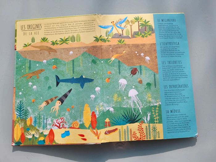 Superbe livre pop-up Dessus/Dessous Dinosaures et animaux préhistoriques (69) - photo numéro 4