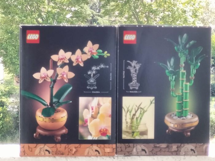 Lego bambou et orchidée miniature - photo numéro 3