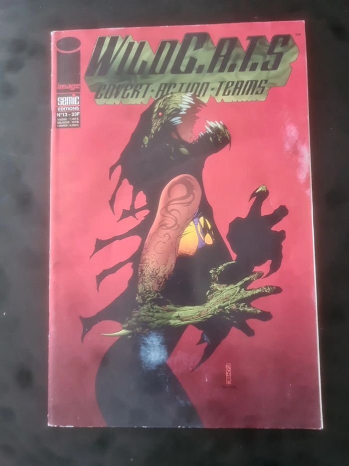 Wild cats covert action teams