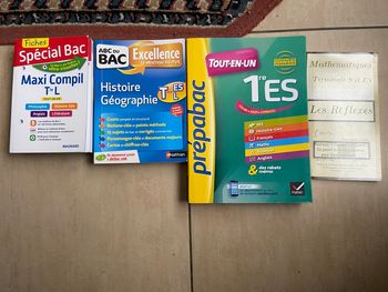 Lots de livres bac