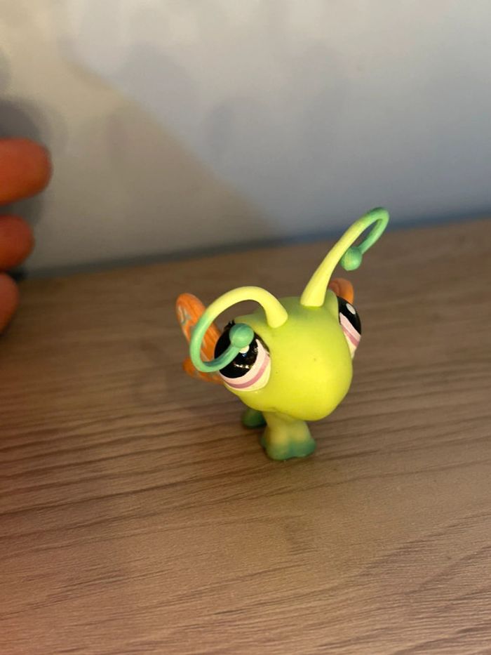 Libellule Littlest pet shop
