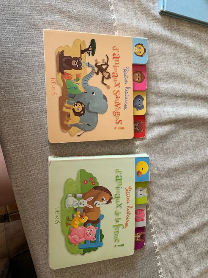 Lot de 2 livres petites histoires fleurus
