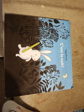 C est la nuit