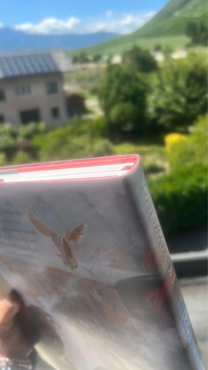 Harry Potter à l’école des sorciers – Édition illustrée - photo numéro 7