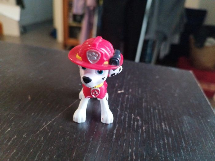 Marcus pat patrouille