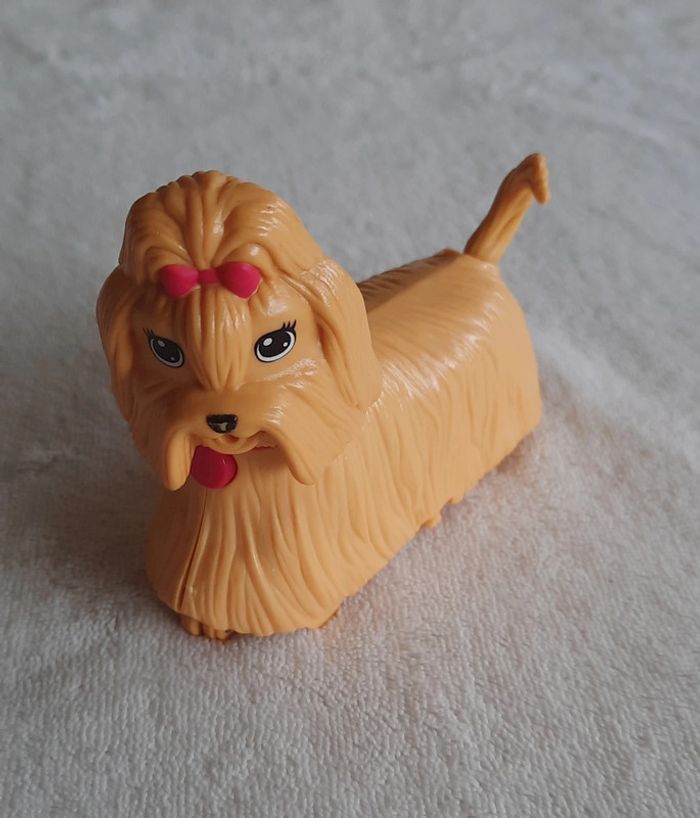 Petit chien qui roule - photo numéro 3