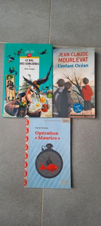 Lot de livre pour enfant