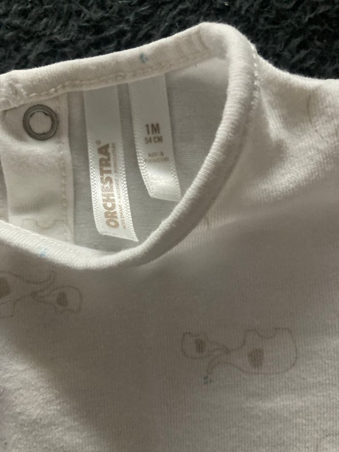 Ensemble - photo numéro 6