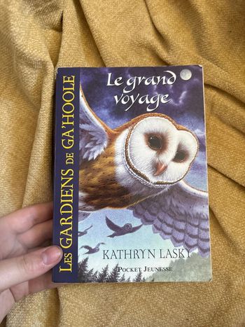 Le grand  voyage