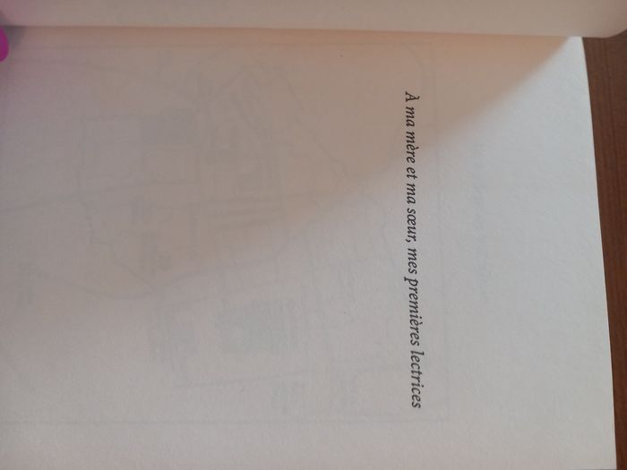 Livre l'anneau du diable - photo numéro 4