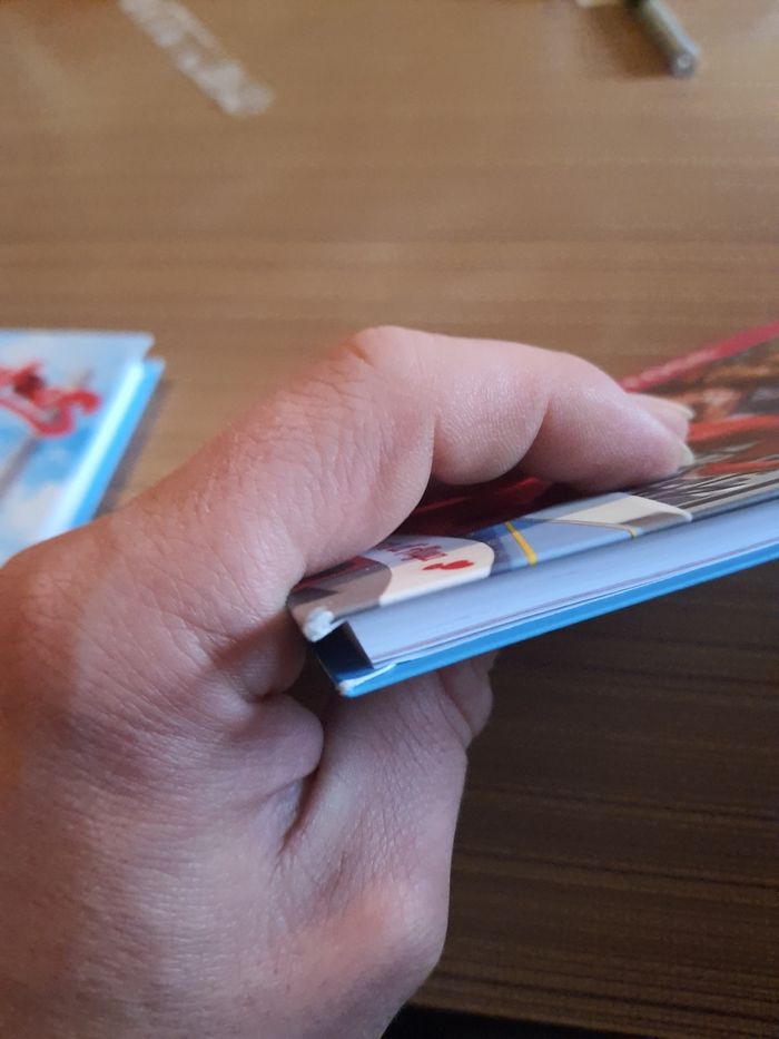 Lot de 2 livre miraculous - photo numéro 8