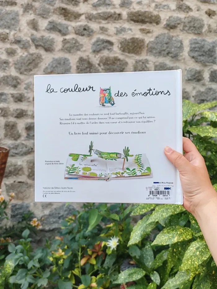 Livre la couleur des émotions - anna llenas - photo numéro 3