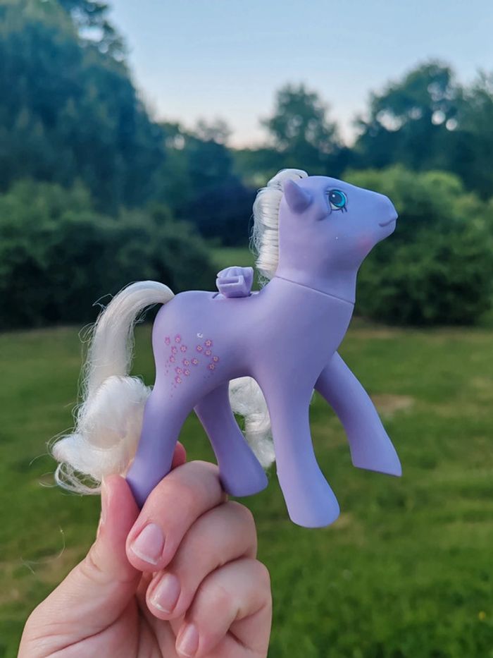 Petit poney g1 - flutter forget-me-not - photo numéro 3