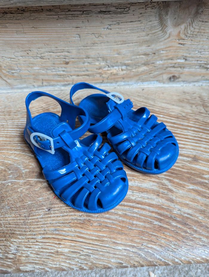 Véritables méduses Made in France 23