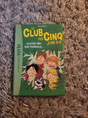 Livre le club des 5 junior un après midi bien tranquille la bibliothèque verte numéro 1
