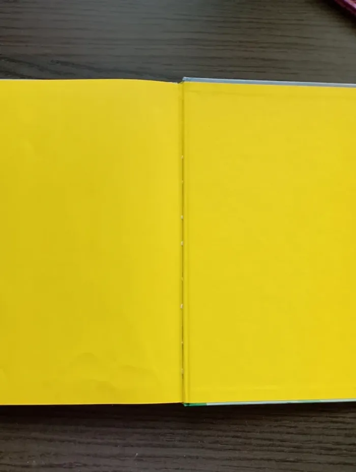 Le vilain petit canard. - photo numéro 4