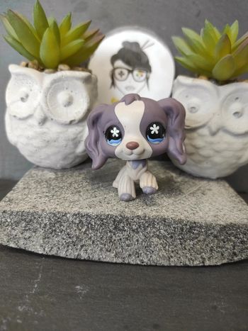 Littlest Petshop LPS chien epagneul spaniel 672 hasbro dog #geektradelpschien