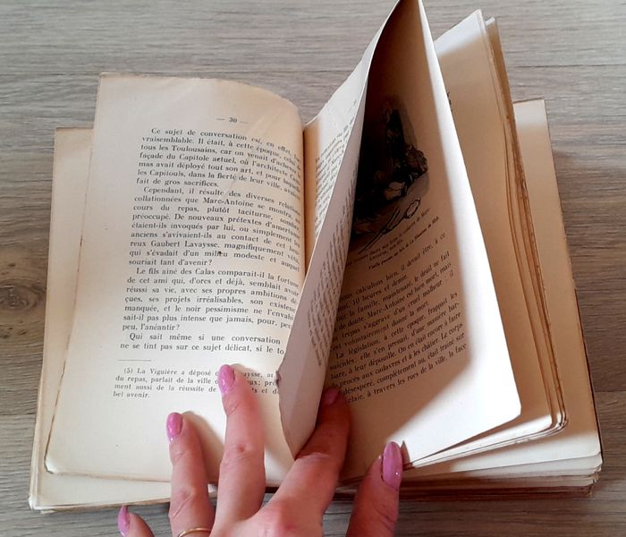 Jean Calas - Roué vif et innocent - Alex Coutet - photo numéro 7