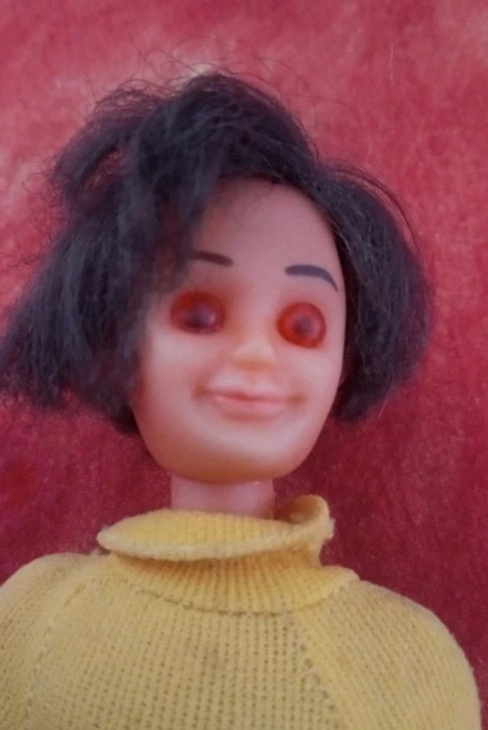 Steve Feliz Sunshine family mattel - photo numéro 3