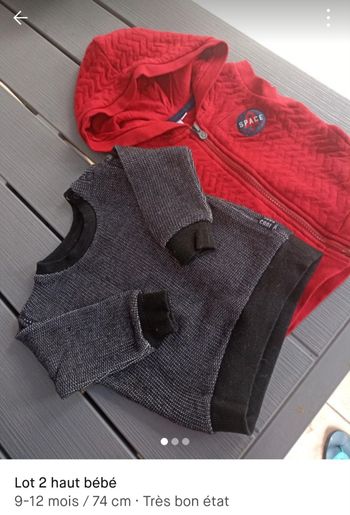 Lot 1 pull et 1 veste a capuche