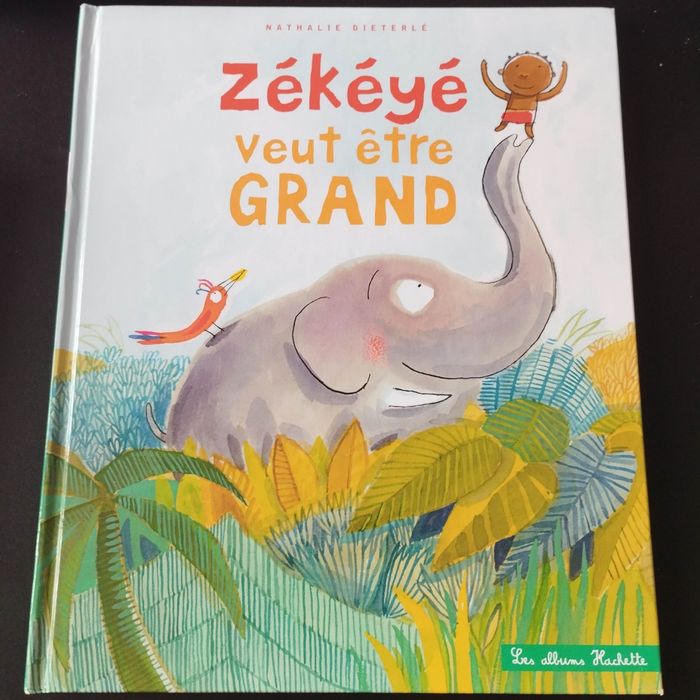 Livre Les albums Hachette enfant Zekeye veut être grand
Vendu neuf a  13.5€