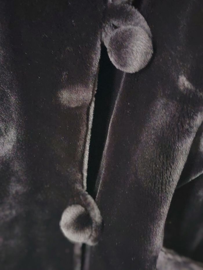 Manteau - photo numéro 2