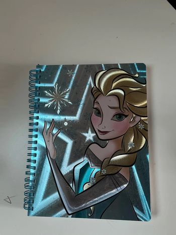 Carnet reine des neiges