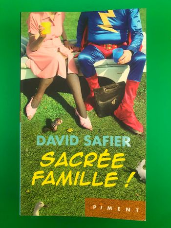 Sacrée famille - David Safier