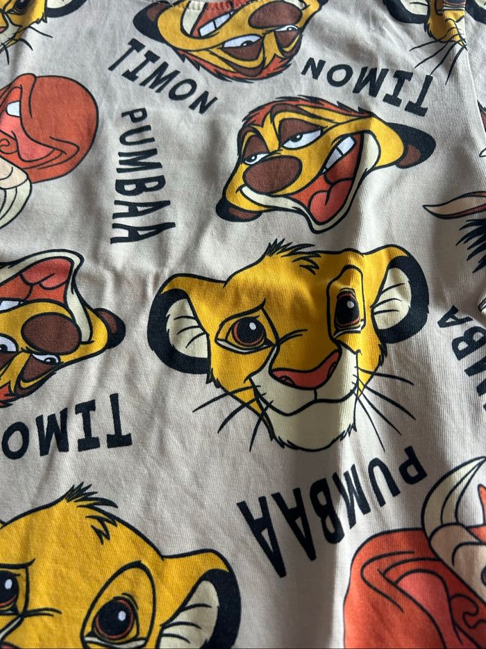 Haut roi lion - photo numéro 2