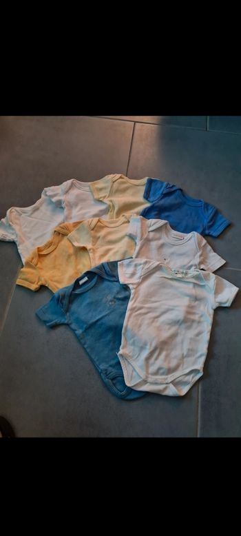 Lot bodies