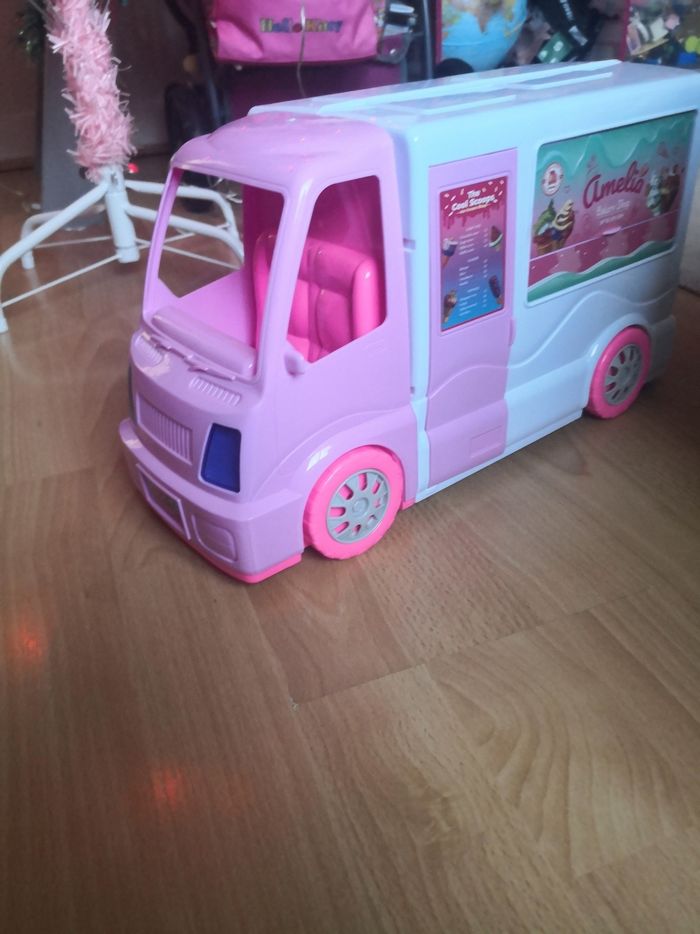 Camion glacier - photo numéro 3