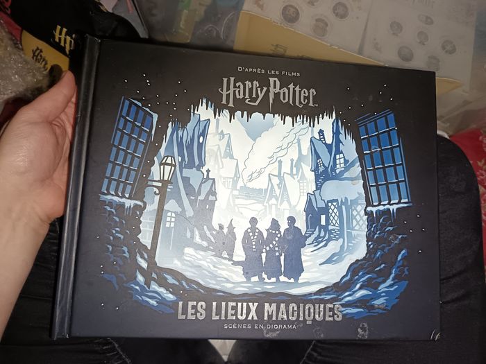 Livre Harry potter diorama