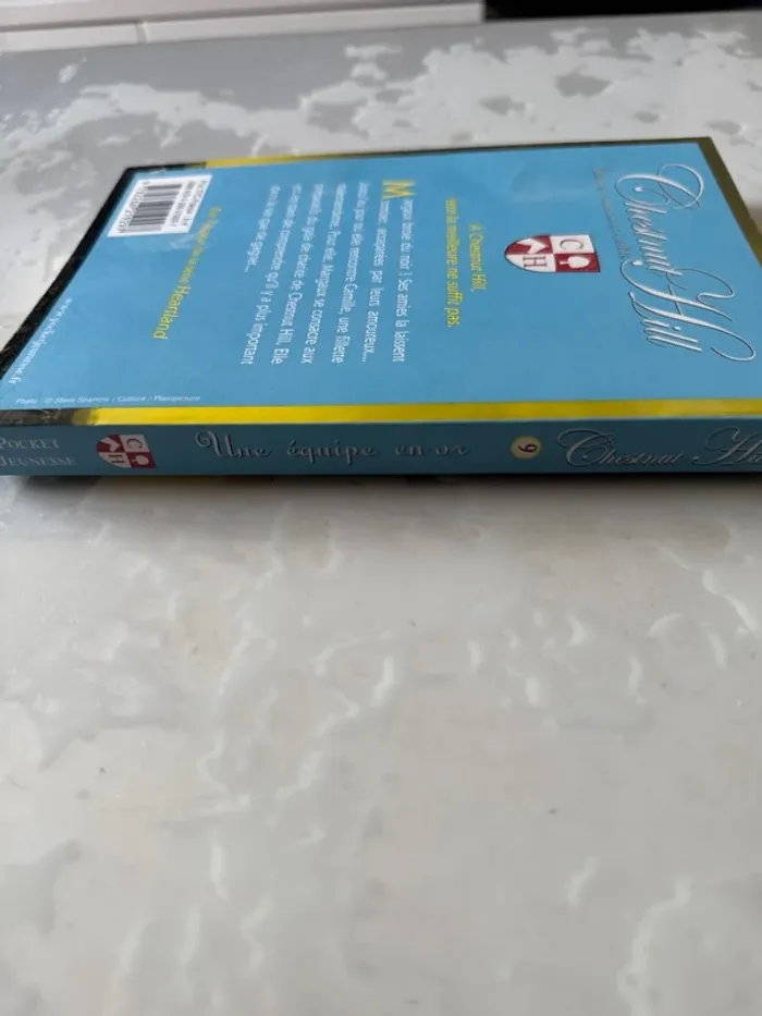 📚 Lot complet – Chestnut Hill – Tomes 1 à 9 – Lauren Brooke - photo numéro 18