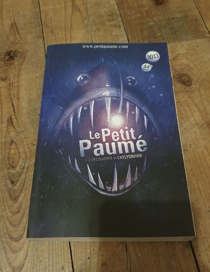 Le petit paumé - guide Lyon