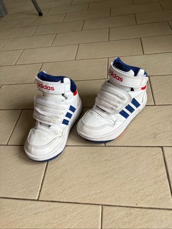 Tennis adidas