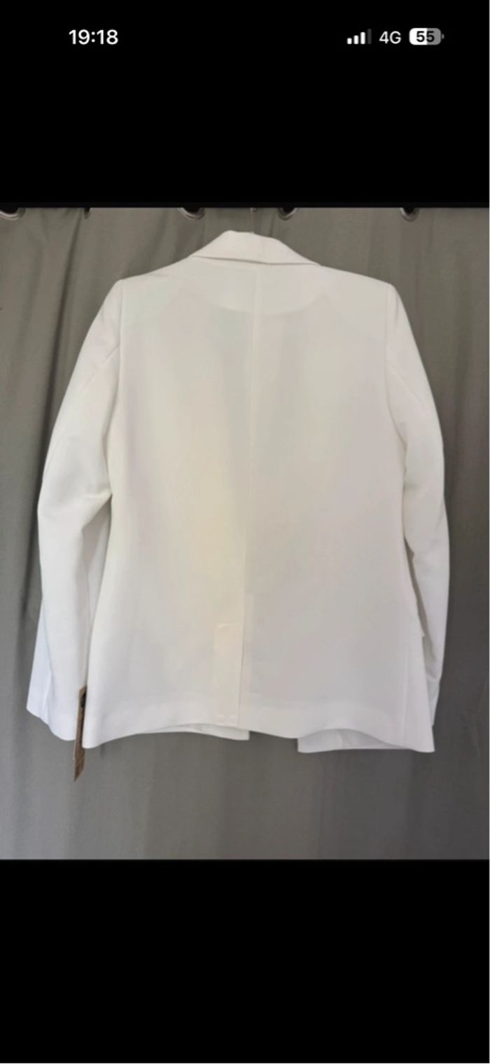 Blazers - photo numéro 2