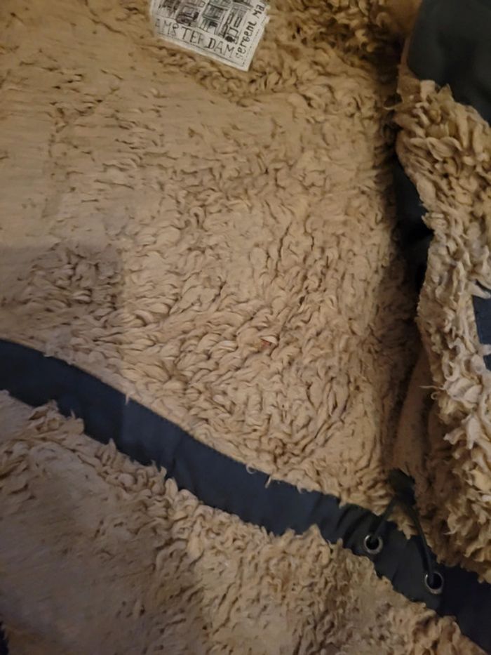 Manteau 24mois - photo numéro 6