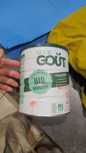 LAIT EN POUDRE GOOD GOUT 3 ème age - à partir de 1 An / 12 mois