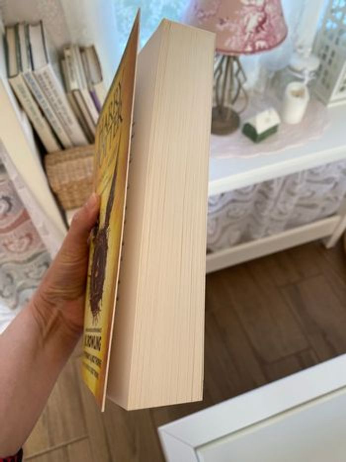 Livre Harry Potter - photo numéro 3