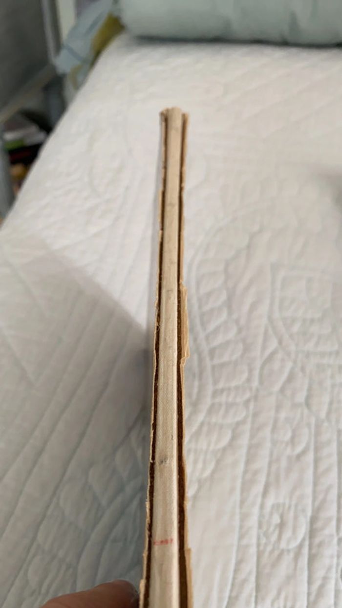 Michel VaillantLe 13 est au départ - photo numéro 4