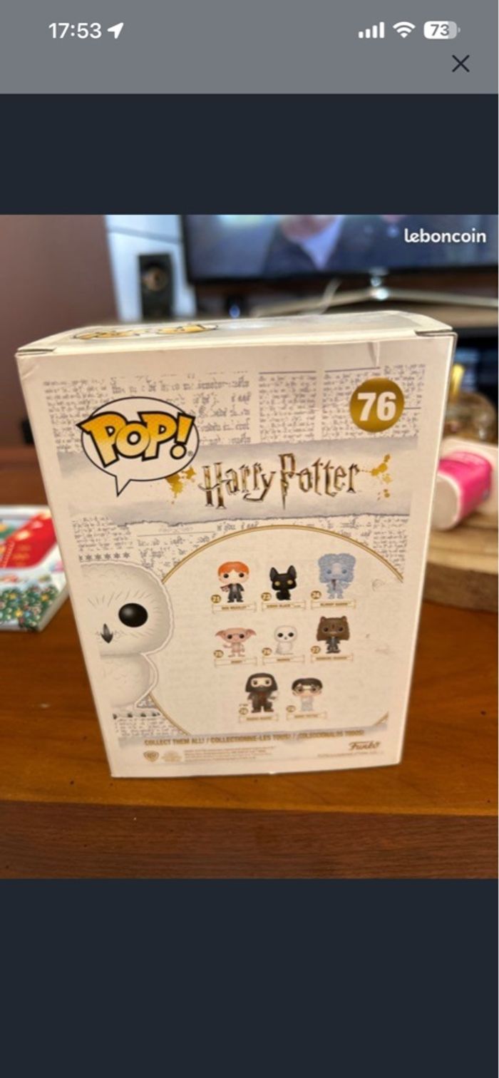 pop edwige - photo numéro 2