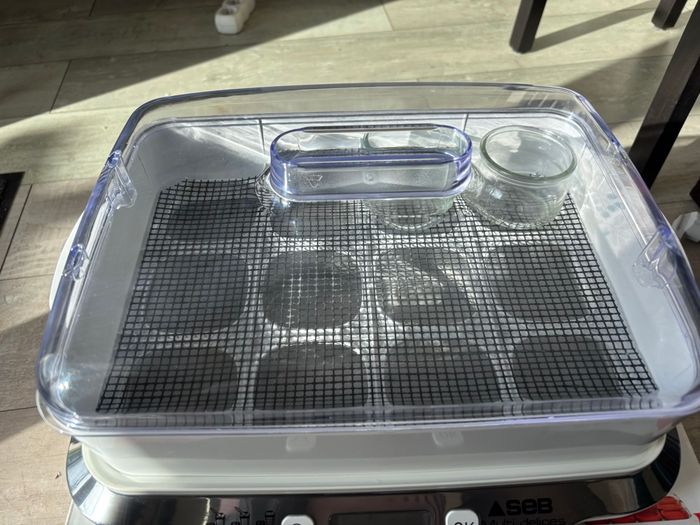 Yaourtière Multi Délices Express Seb 12 pots - photo numéro 3