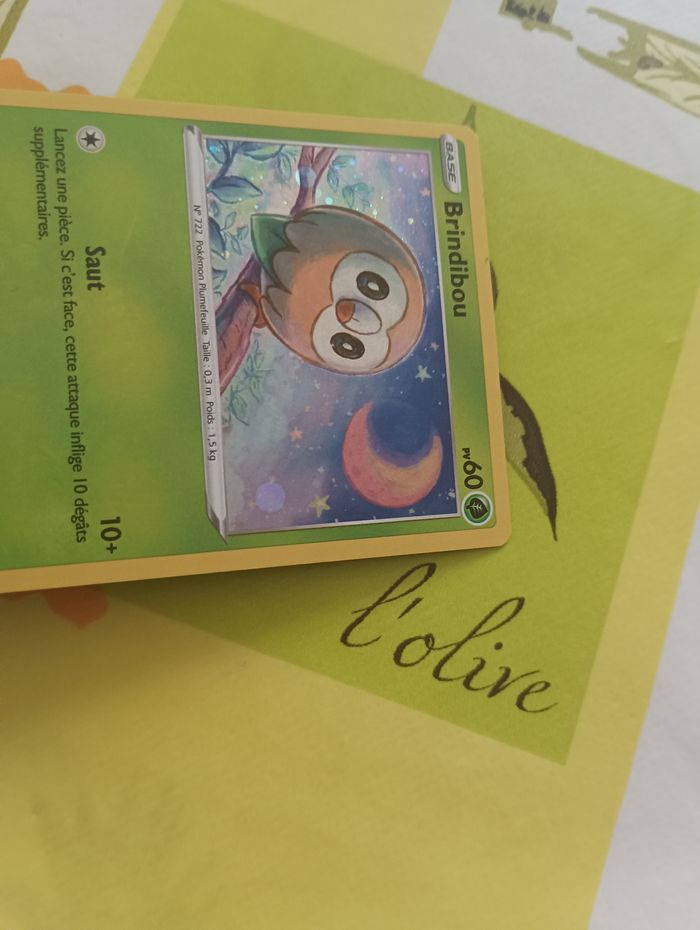 Brindibou - photo numéro 2