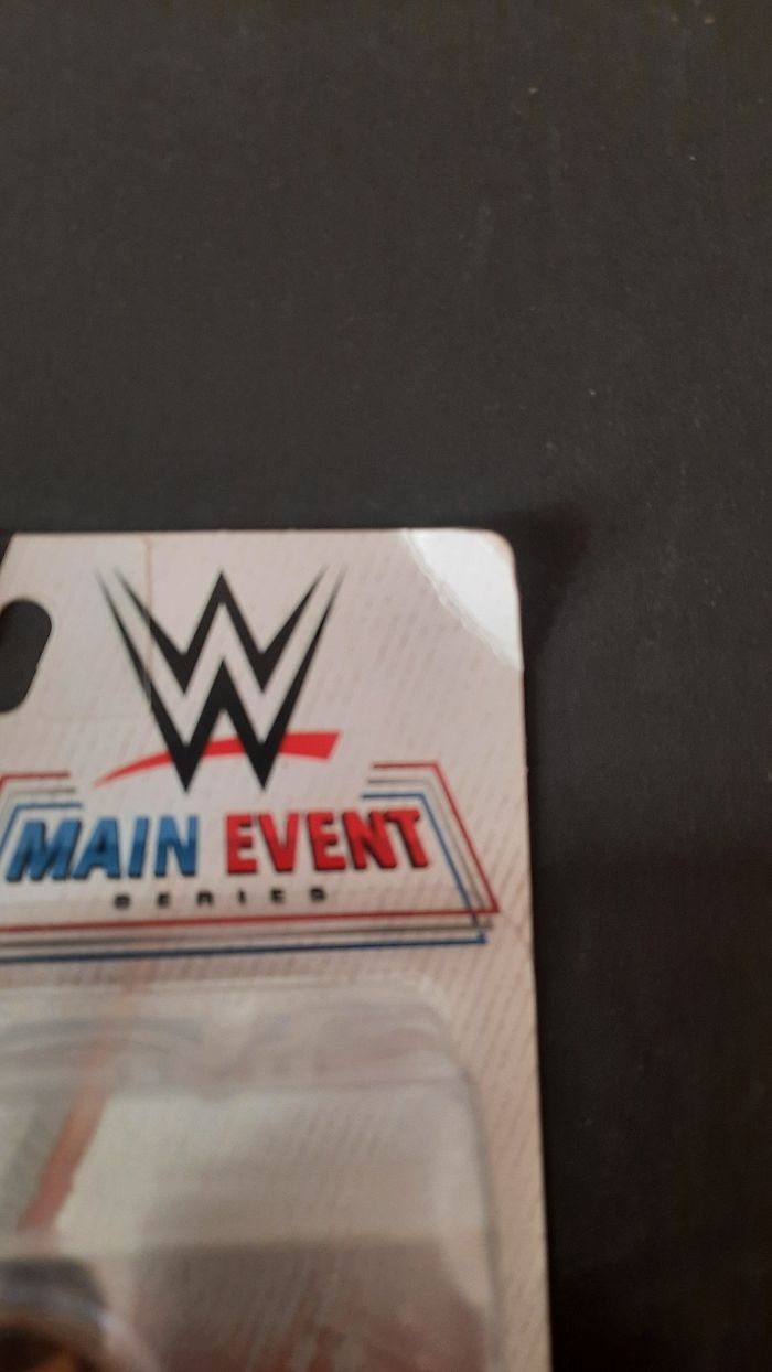 Rob van dam - photo numéro 2