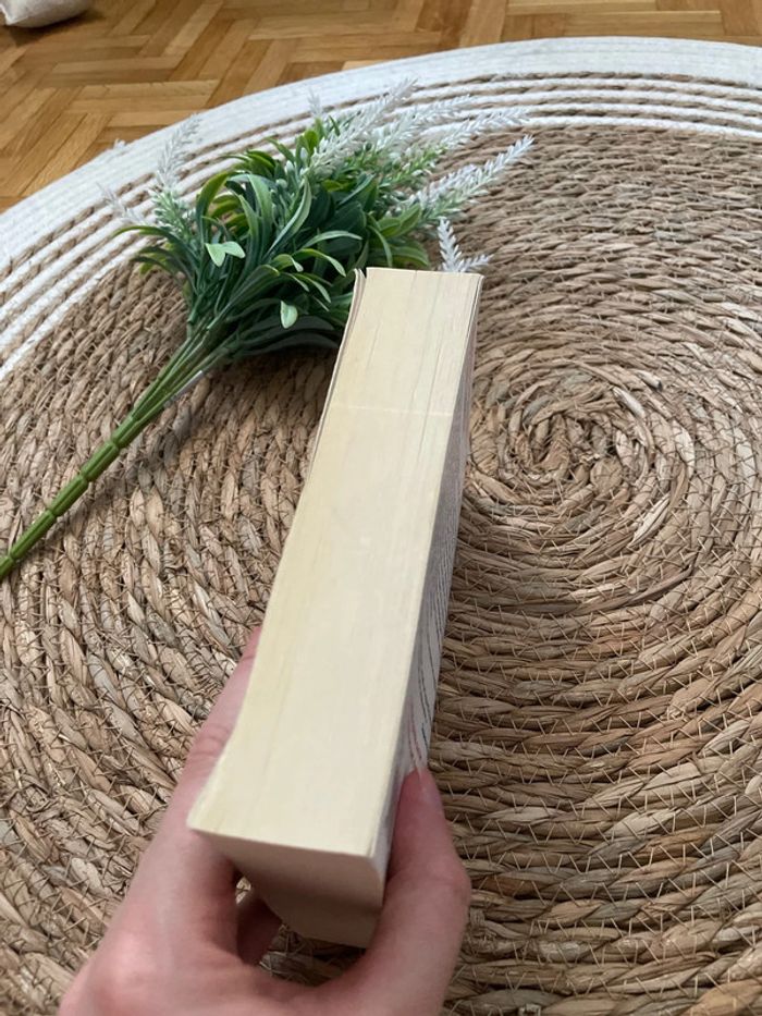 Livre - Le Faux Prophète - photo numéro 4
