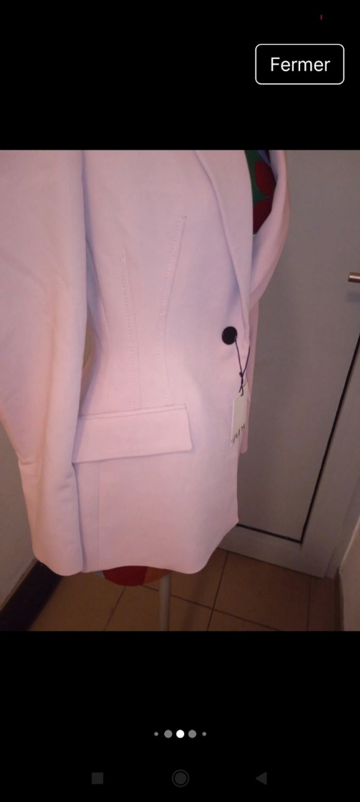 jolie blazer zara - photo numéro 4