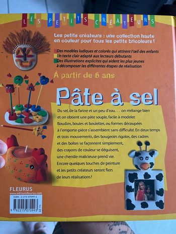 Livre pâte à sel