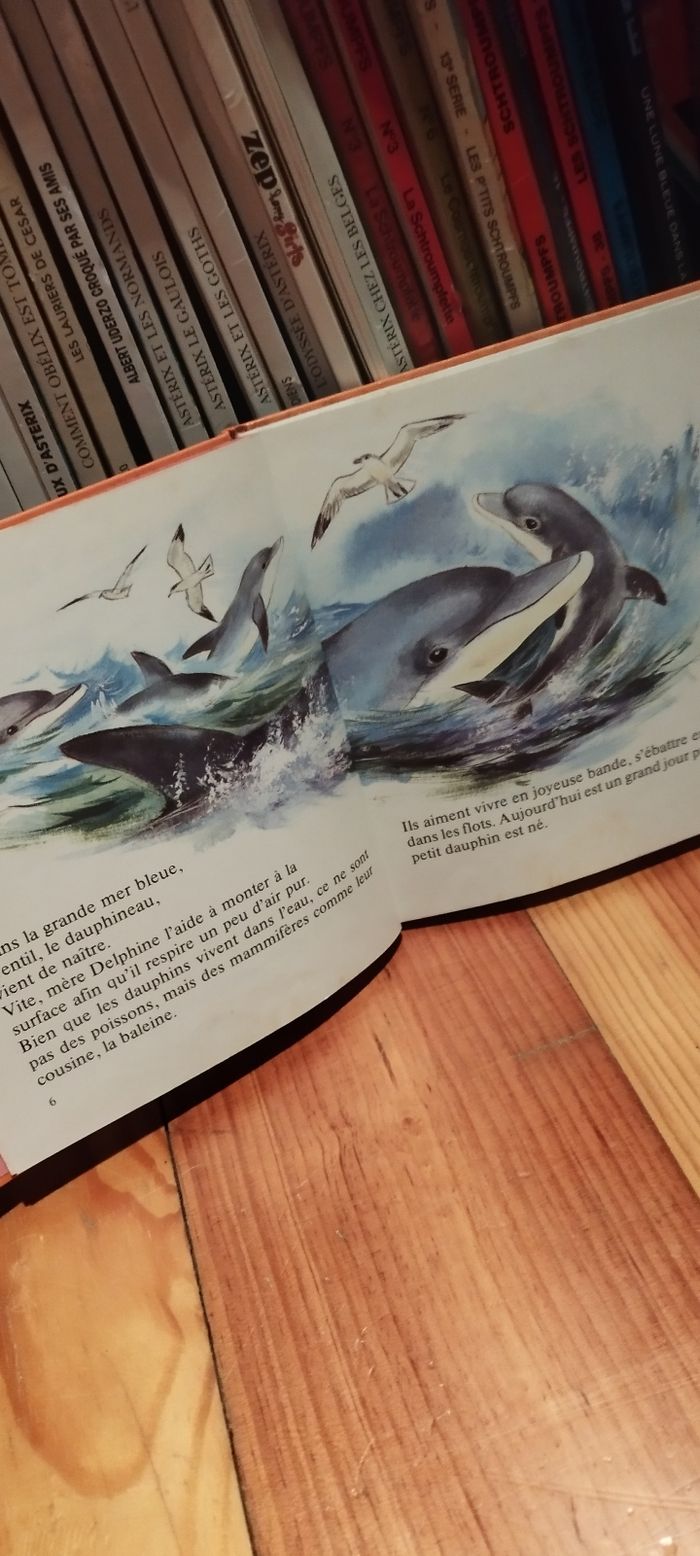 Livre vintage Gentil, le dauphin - photo numéro 3