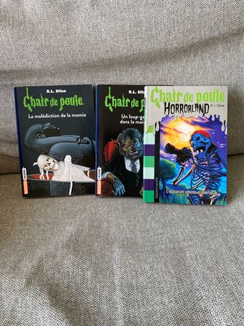 Lots livres chair de poule 